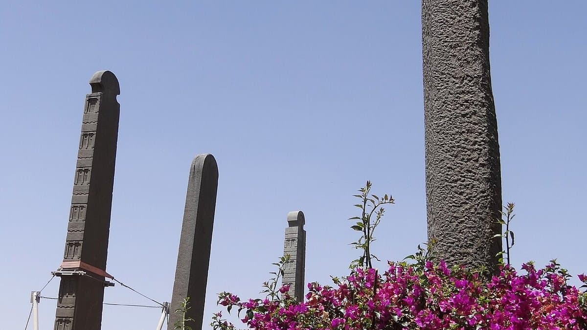 Tall carved Aksumite stelae with window-like details in the main stelae field.
