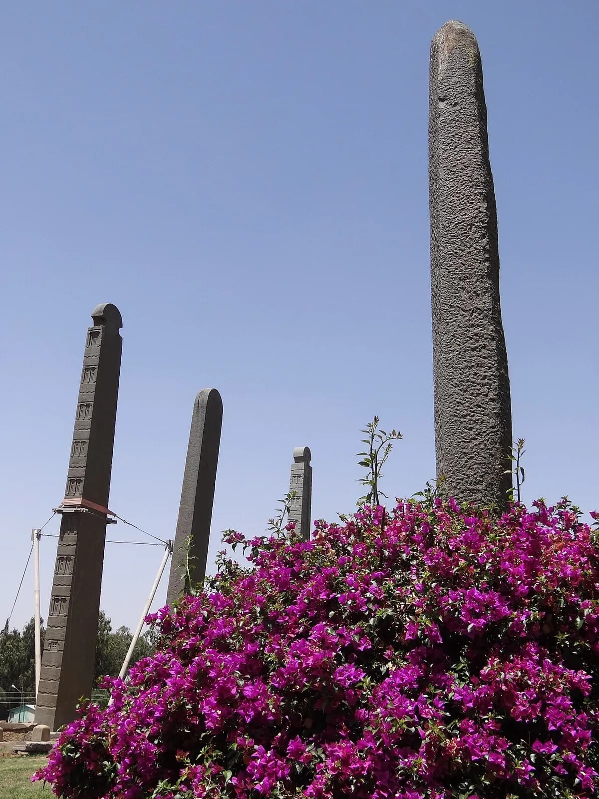 Tall carved Aksumite stelae with window-like details in the main stelae field.