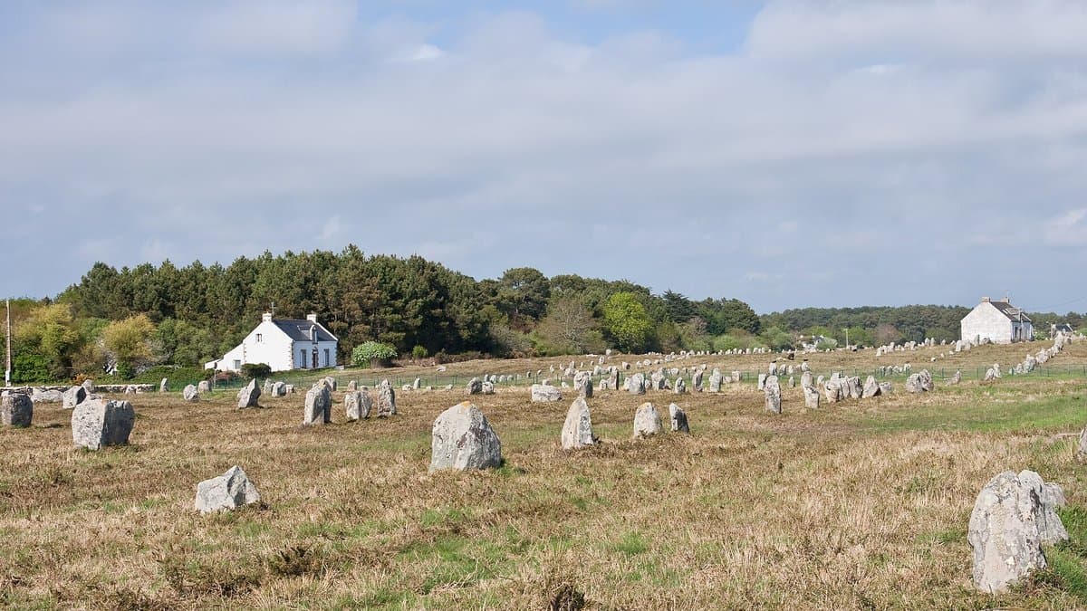 Rows of standing stones receding across grassland at Carnac.