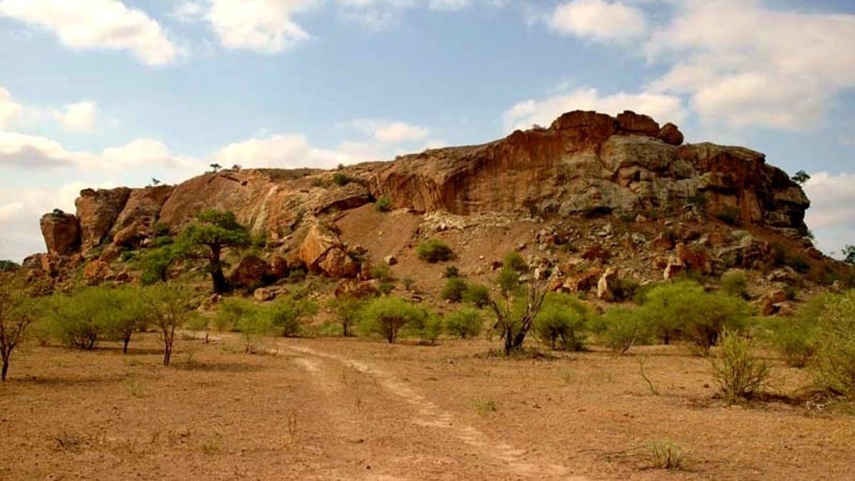 Mapungubwe Hill