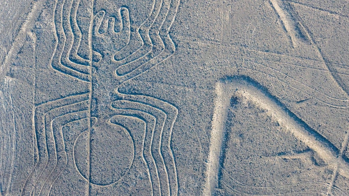 Aerial view of the Spider geoglyph traced across the Nazca desert.