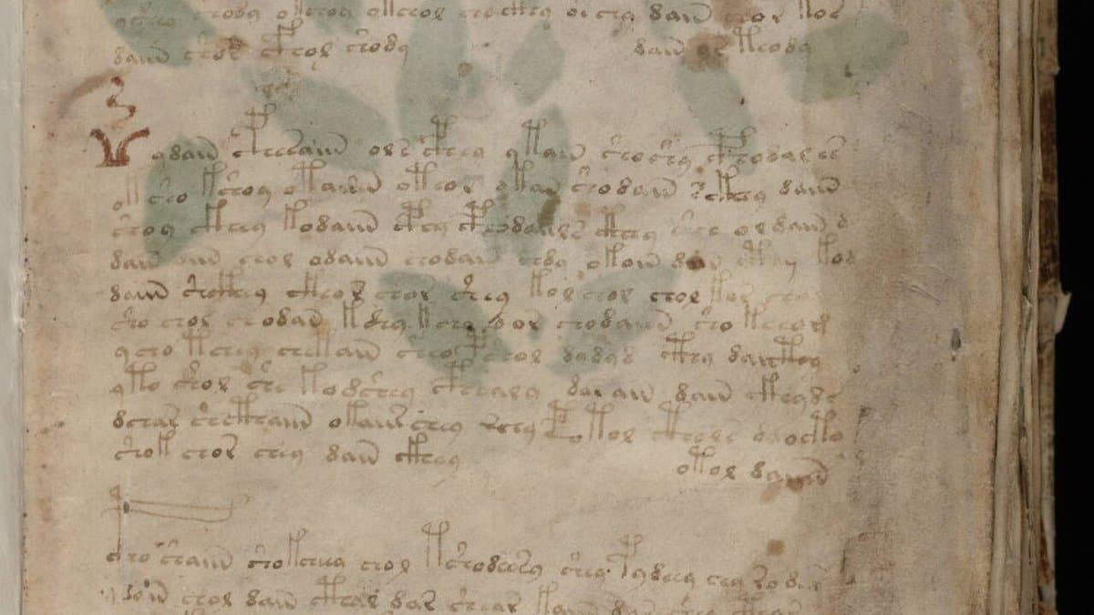 Illustrated Voynich manuscript page with unfamiliar writing and drawings.