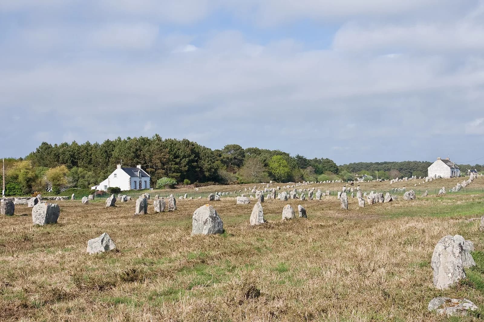 Rows of standing stones receding across grassland at Carnac.