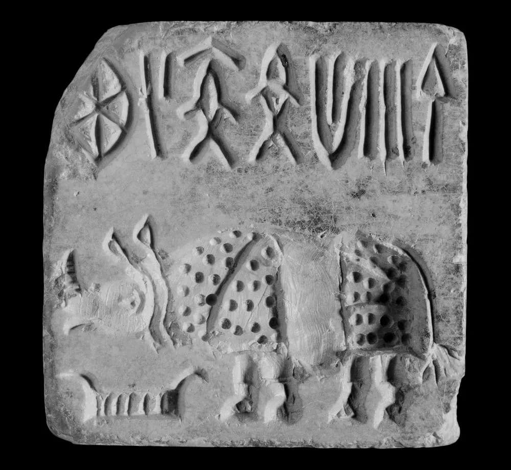 Square stone seal with a rhinoceros below a short line of Indus signs.