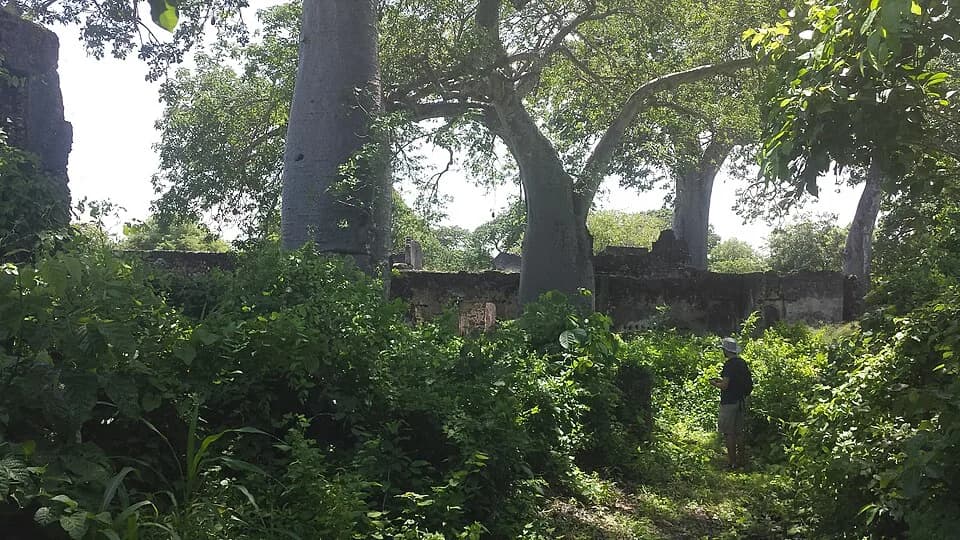 Songo Mnara ruins, Tanzania main building