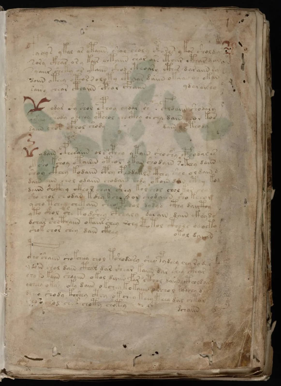 Illustrated Voynich manuscript page with unfamiliar writing and drawings.